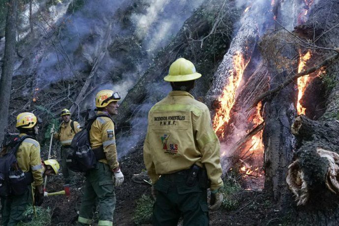 incendios-patagonia