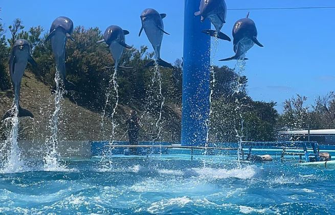 aquerium